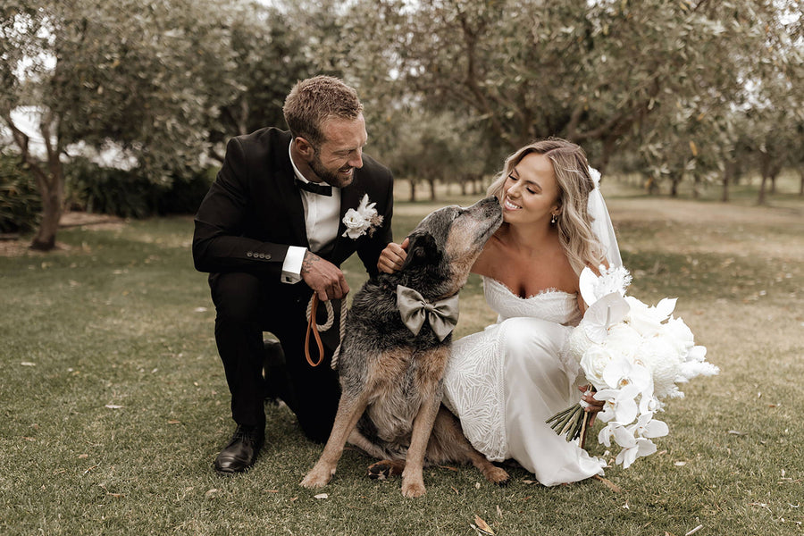 Stephen & Natalie in the Noah Gown