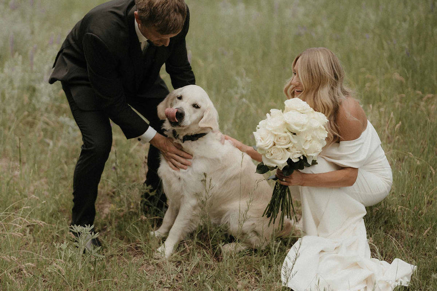 Ethan & Torry in the Mila Gown